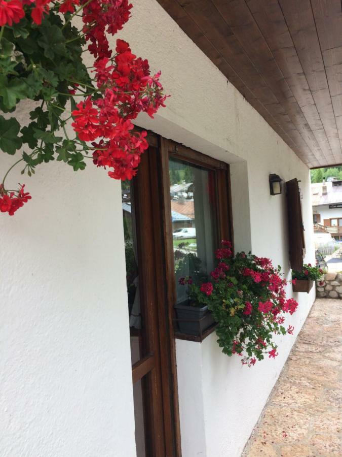 Ca' Dello Scoiattolo Appartement Cortina d'Ampezzo Buitenkant foto